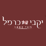 יפעת רוזנברג